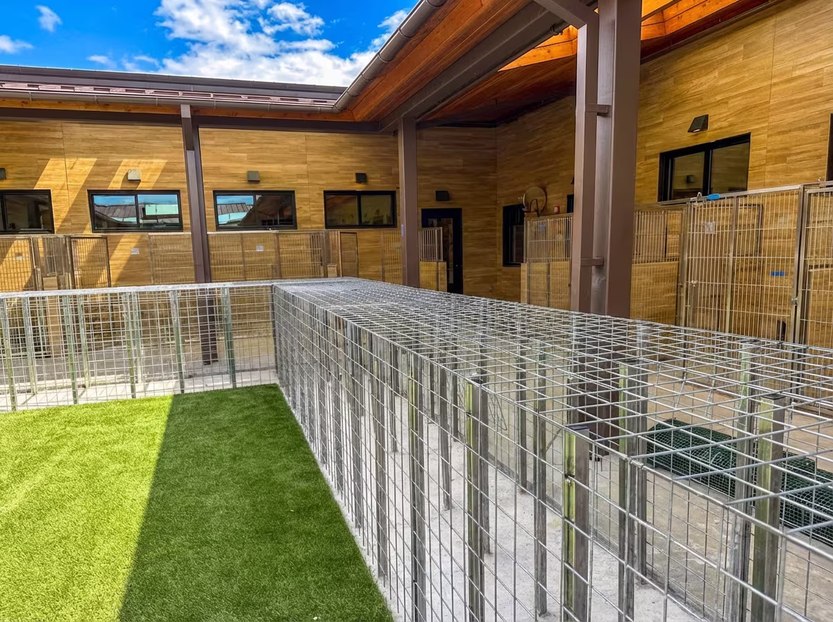 Privacy hedge panel application along dog kennels
