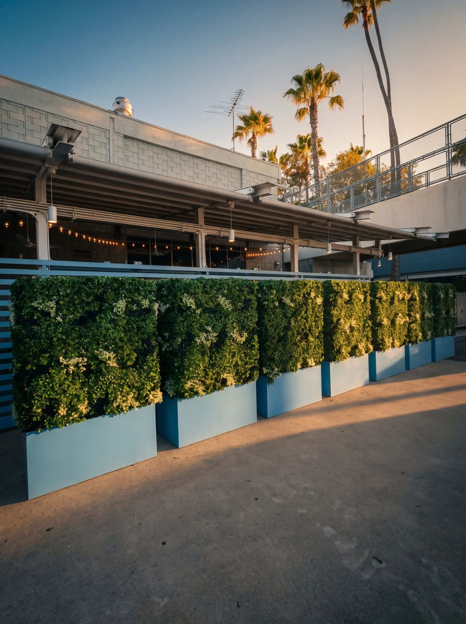 Freestanding artificial hedge panels in white planters