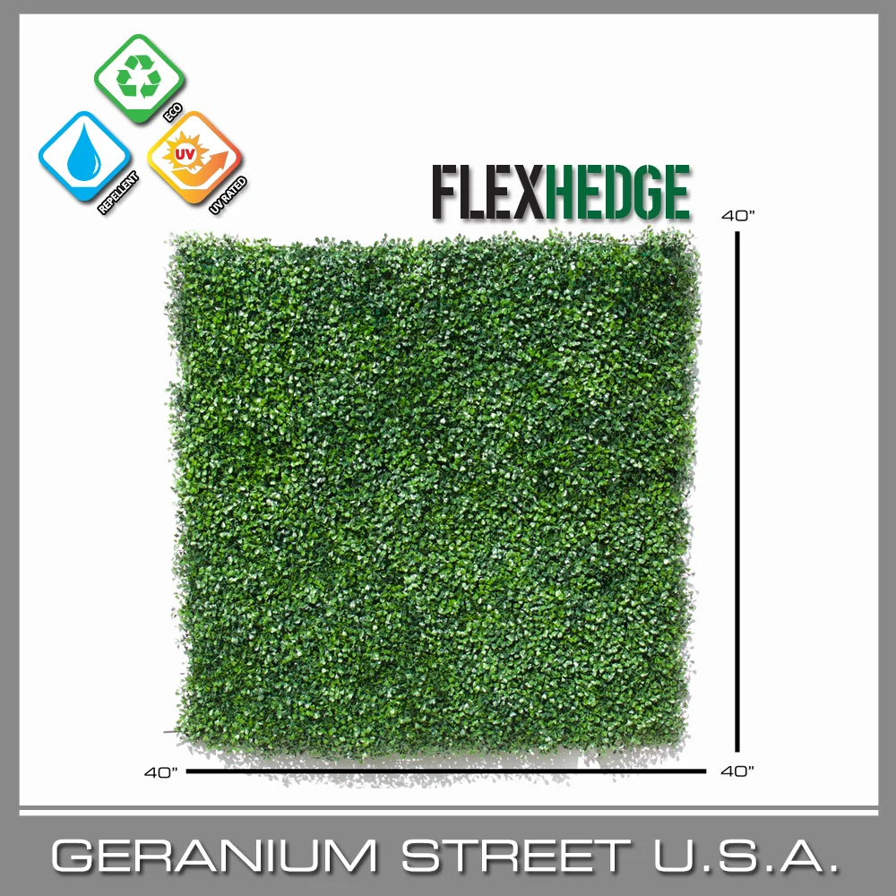 Boxwood Flex Hedge