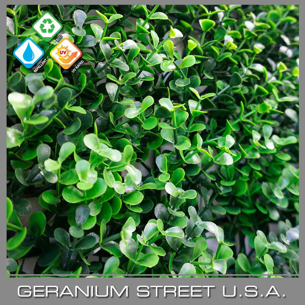Boxwood Hedge Mat Long Leaf