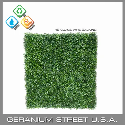 Boxwood Hedge Sheet