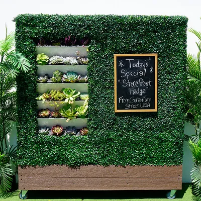 Storefront Hedge
