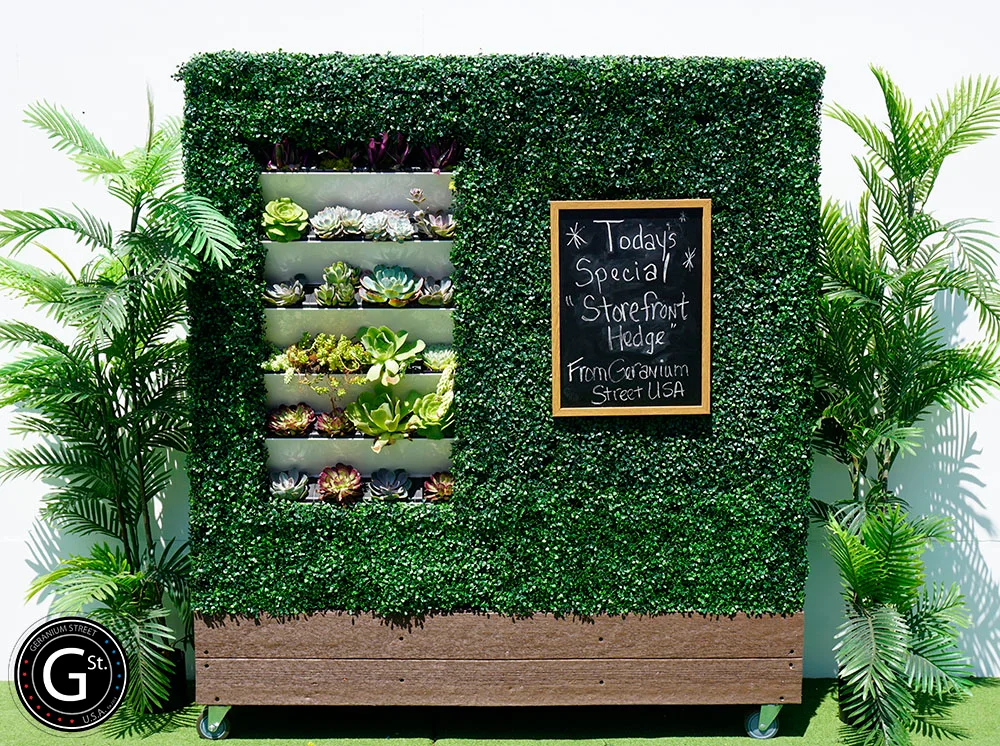 Storefront Hedge