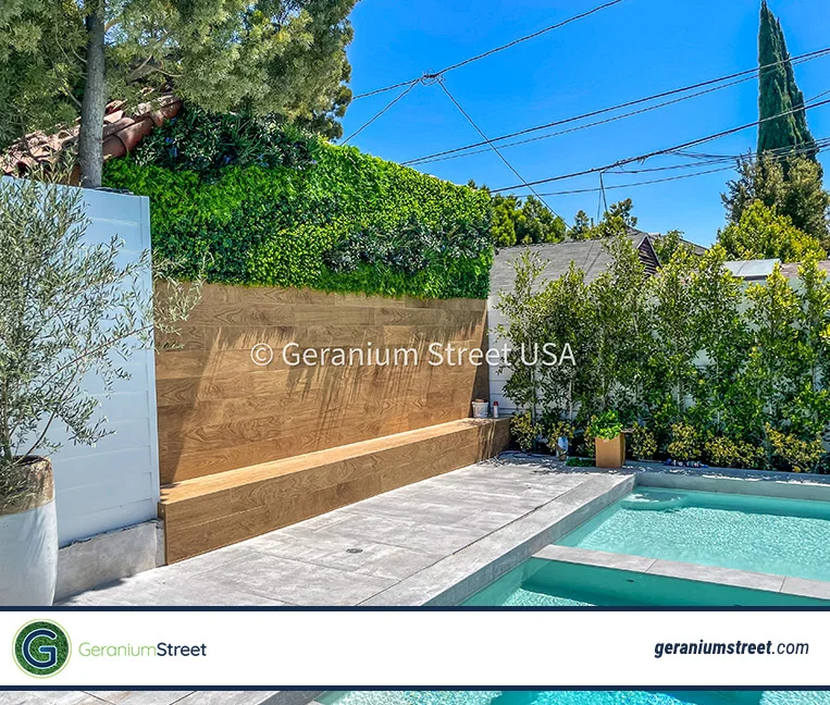 Before: ugly boring pool wall