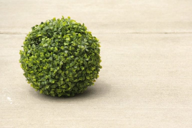 artificial boxwood hedge ball Geranium Street