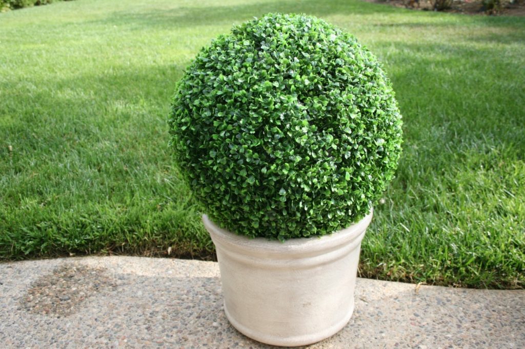 artificial boxwood hedge ball