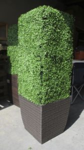 artificial boxwood hedge