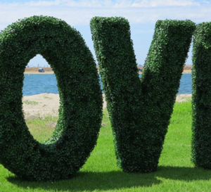 artificial hedge letters