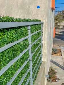 Artificial single sided hedge sheet