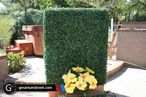 Artificial boxwood hedges