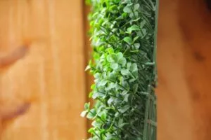 artificial green wall