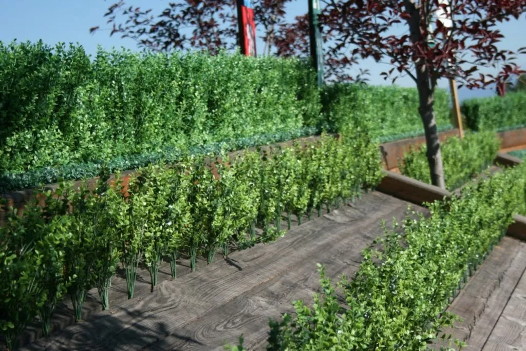 Geranium Street | artificial plants