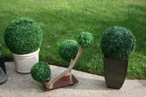 artificial boxwood balls