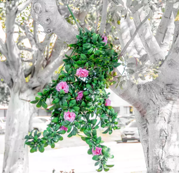 artificial azalea
