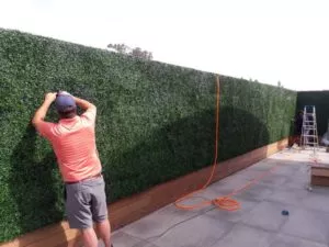 artificial boxwood hedge