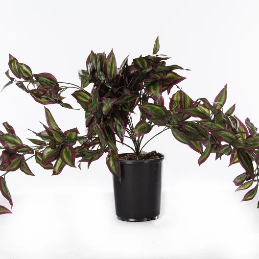 artificial plants