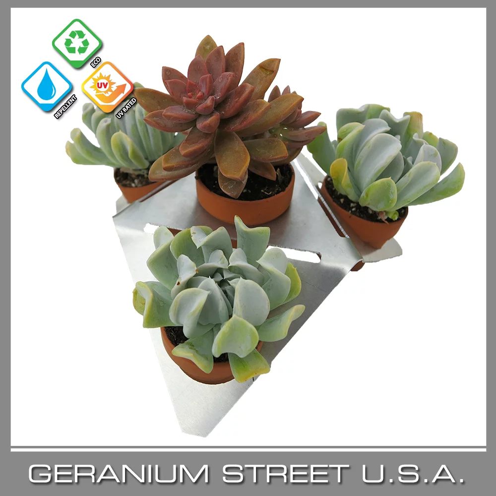 artificial plants