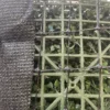 Artificial Boxwood Flex Hedge (Custom) - Image 4