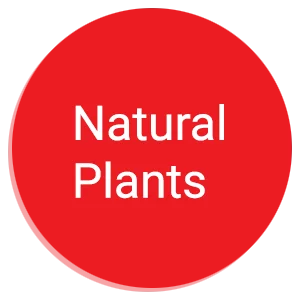 Natural Plants