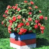 artificial plants