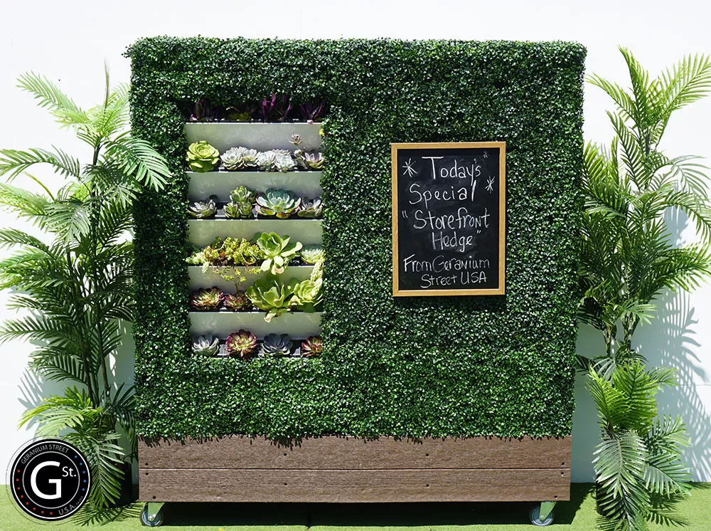 storefront hedge