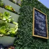 storefront hedge