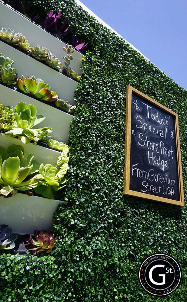 storefront hedge
