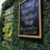 storefront hedge