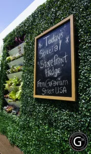 storefront hedge