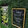 storefront hedge