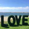 Artificial Boxwood Hedge Letters