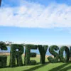 Artificial Boxwood Hedge Letters