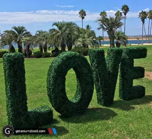Artificial Boxwood Hedge Letters