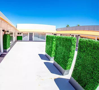 Artificial Boxwood Hedge