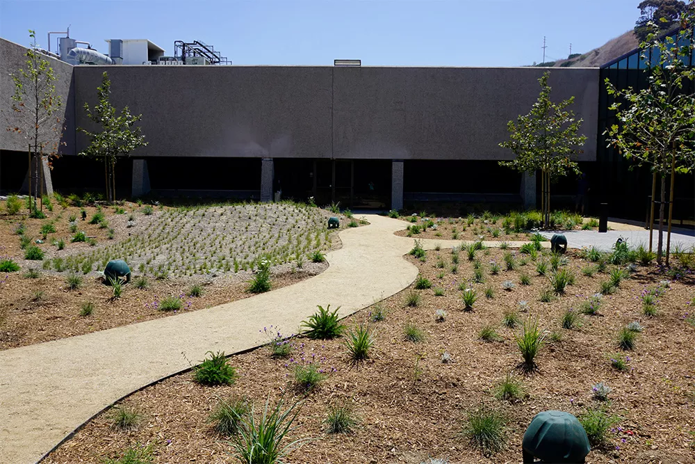 Artificial Green Wall - before Artificial Green Wall - before