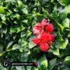 Artificial Hedge Mat