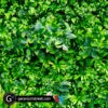 Artificial Hedge Mat