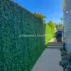 Artificial ficus mat installation in Coronado California