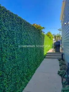 Artificial ficus mat installation in Coronado California