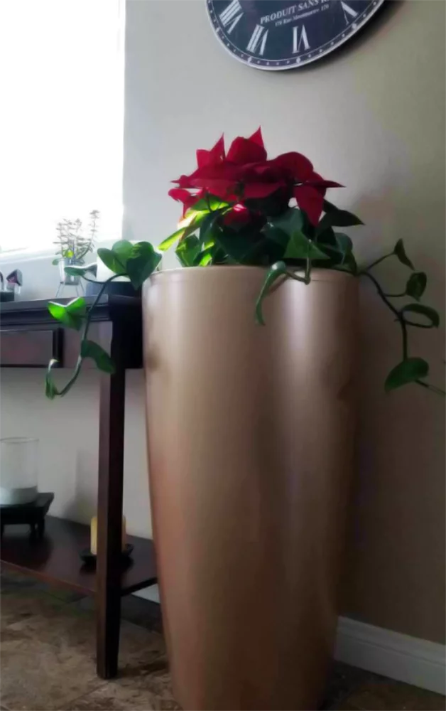 self watering pot