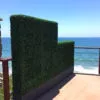 Artificial Commercial Hedges - Image 6