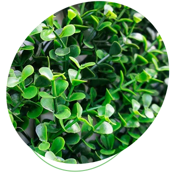 Artificial Boxwood Hedge